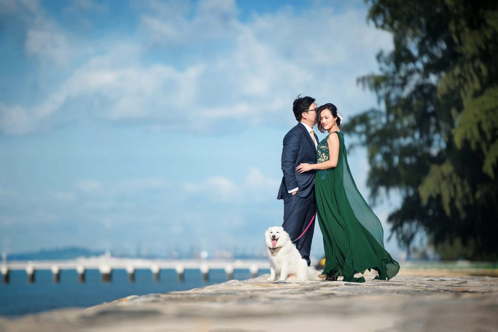 Pre-wedding shots alongside your pets