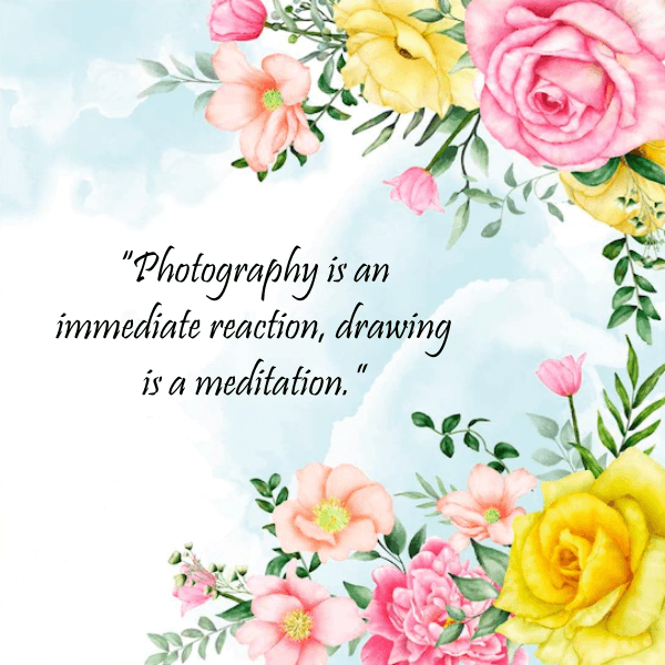 Best Photography Quote