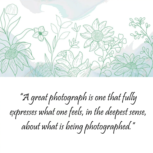 Best Quote About Photographer