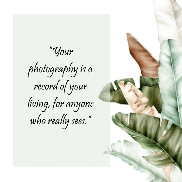 Inspirational Quote About Picture