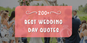 210+ Short and Sweet Wedding Day Quotes