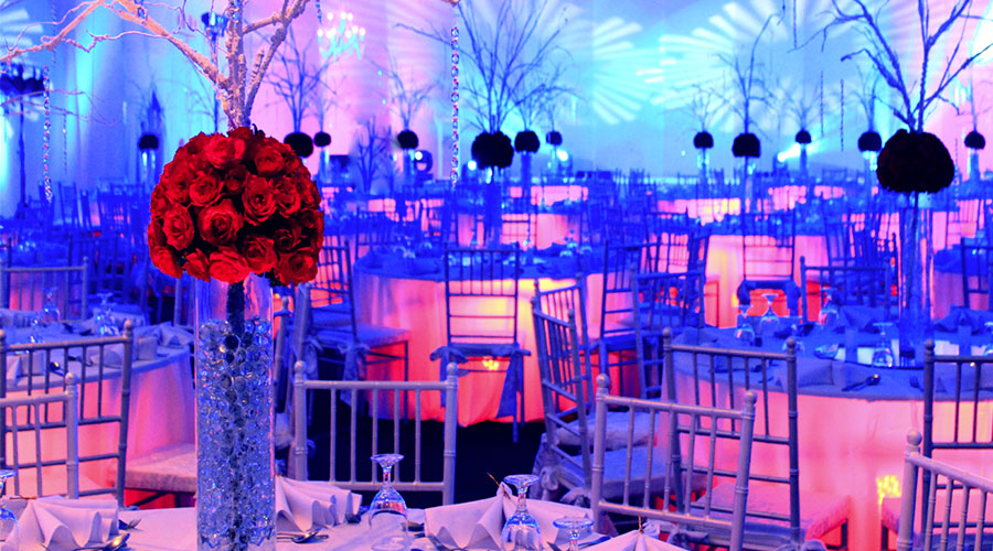 Fire and Ice Theme Decor for Bridal Shower