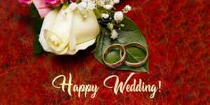 201 Best Wedding Wishes For Newly Married Couple in 2022