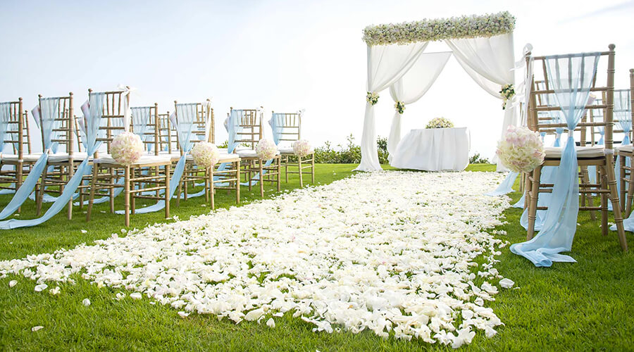 Budget Friendly Wedding Backdrop