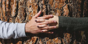 7 Biggest Mistakes Couples Make When Moving in Together