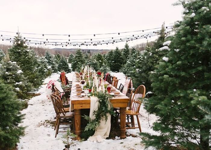 Christmas Tree Farm Wedding