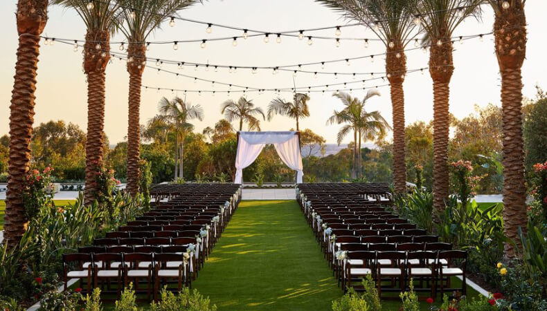 Palm Tree with String lights Outdoor Wedding Venue