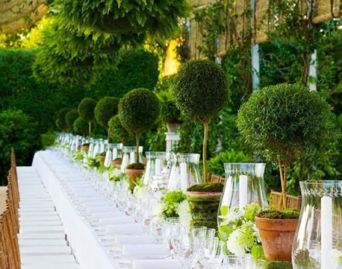 Top the Table with Topiaries