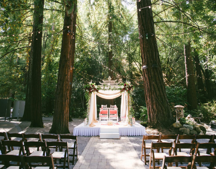Forest wedding venue