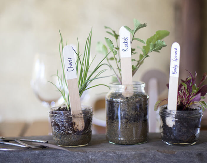 Provide Guests with Low Waste Favors