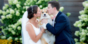 Wedding couple kissing pet