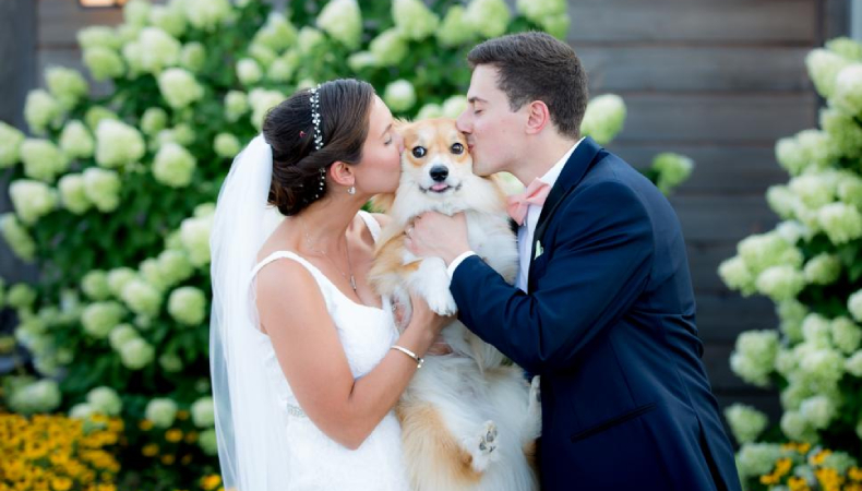 Wedding couple kissing pet