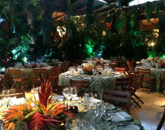 Tropical Forest Theme