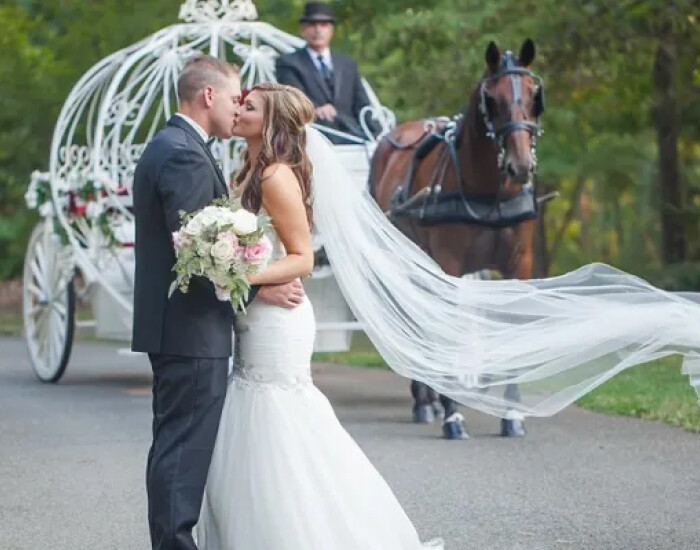 Romantic Horse-Drawn Carriage Arrival_ A Fairy Tale Reception Entry
