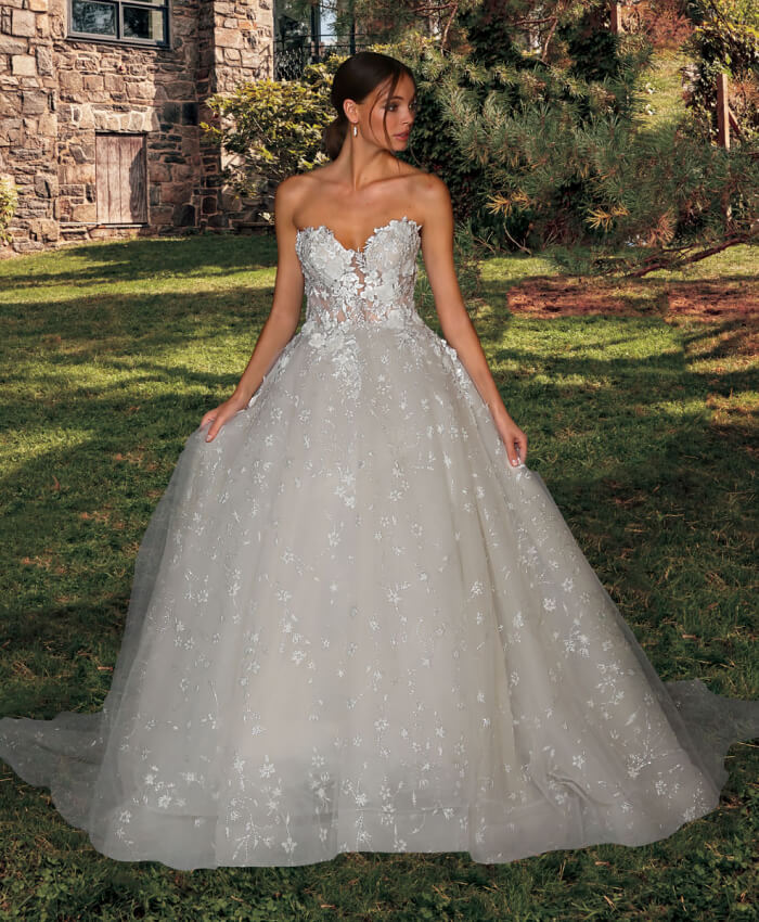 A-Line Elegance with Beaded Bodice