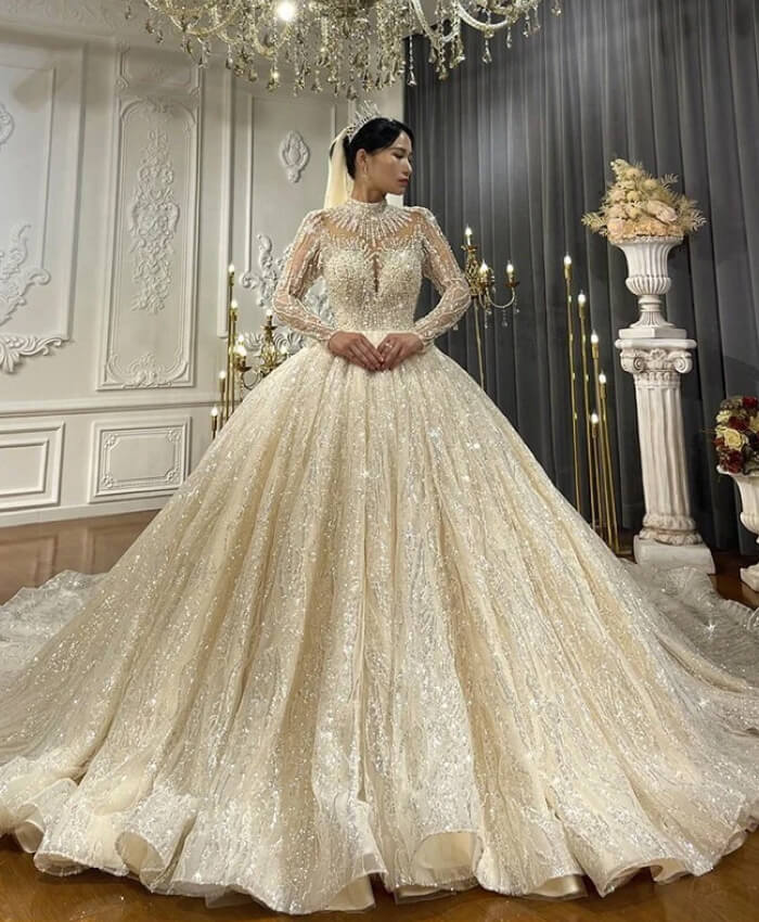 Elegant Royal Wedding Dress Ideas for Bride in 2024