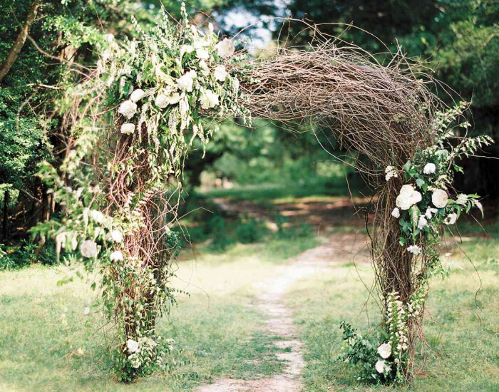 Arch of Branches