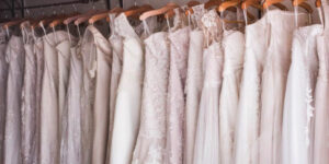A Guide to Trendy Vera Wang Plus Size Wedding Dresses