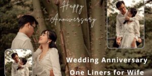 100+ Wedding Anniversary One Liners for Wife 2024
