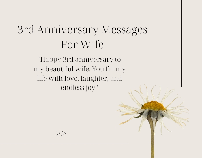 3rd Anniversary Messages For Wife