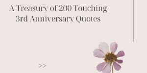 A Treasury of 200 Touching 3rd Anniversary Quotes [2024]