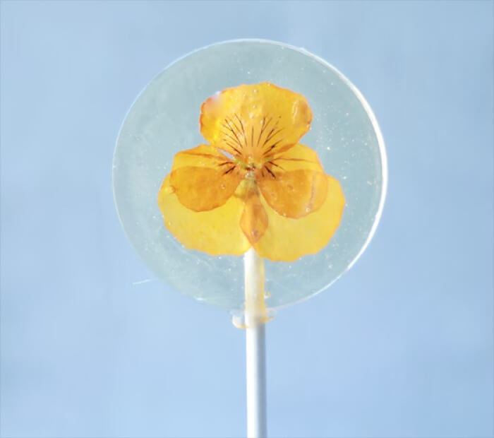 Botanical Lollipop