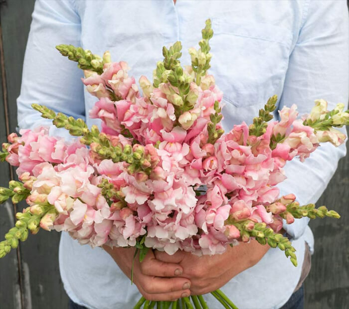 15 Seasonal April Flowers For Your Wedding |