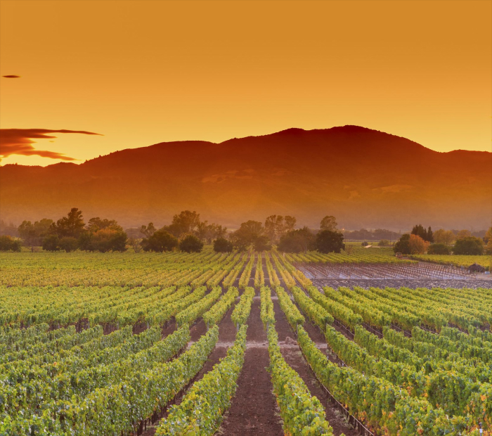 Napa Valley, California