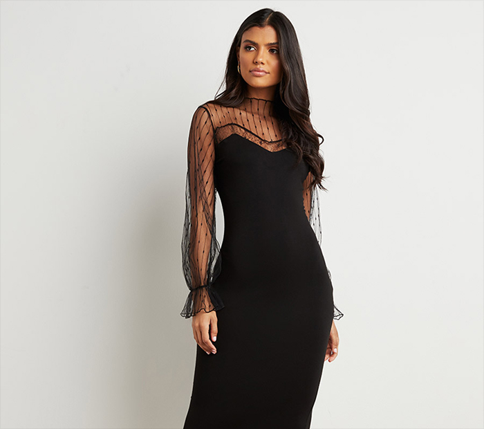 Midi Dress with Sheer Sleeves