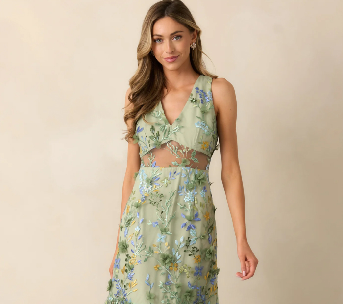Sheer Overlay Dress with Floral Embroidery