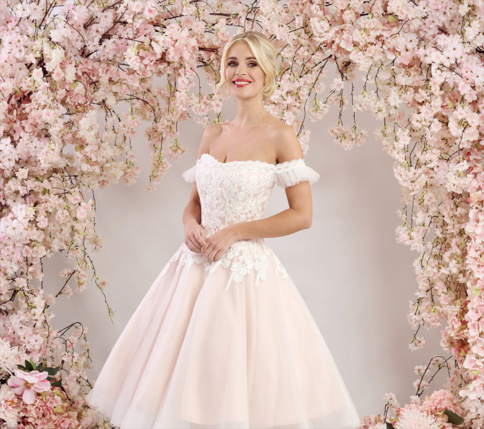 Tea-Length Lace Dress
