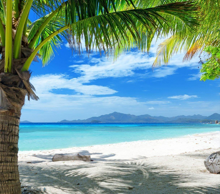 Beaches