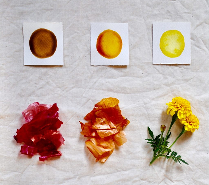 Turning Flowers into Ink or Paint Pigment