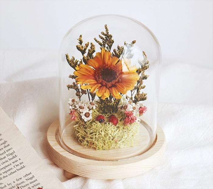 Encasing Flowers in Glass Domes