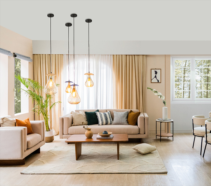 Core Principles of a Minimalist-Elegant Living Room