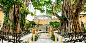 What-Are-the-Best-Wedding-Venues-in-Florida-for-You