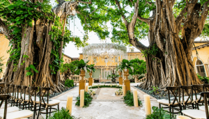 What Are the Best Wedding Venues in Florida for You? What-Are-the-Best-Wedding-Venues-in-Florida-for-You