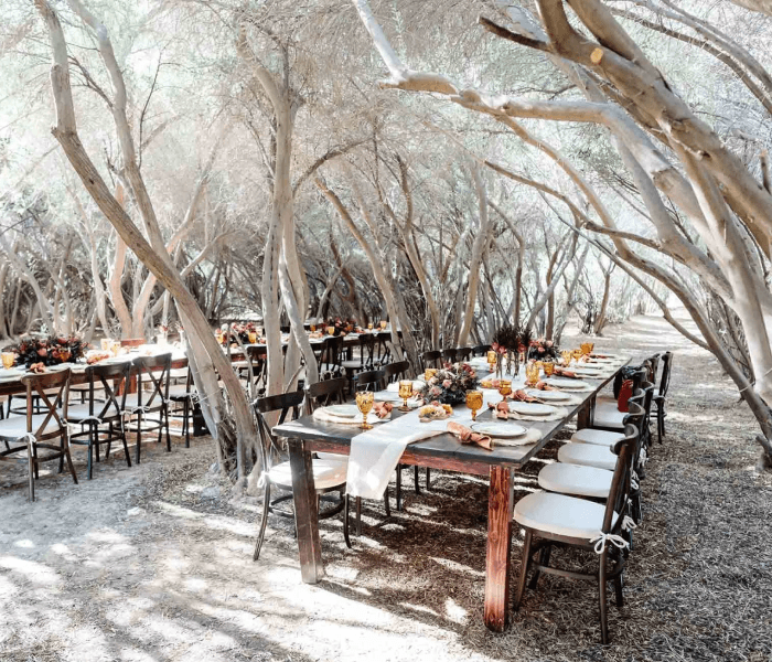 GreenGale Farms - Happy Wedding App GreenGale Farms