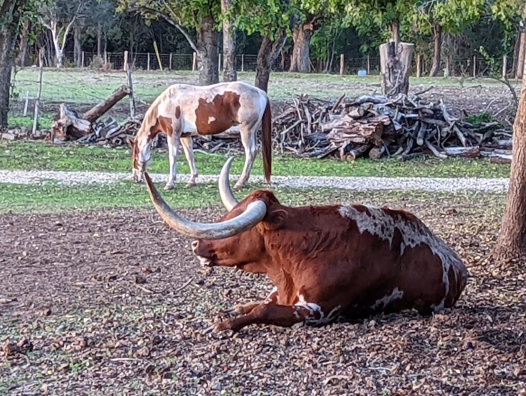Gruene Estate Event Venue
