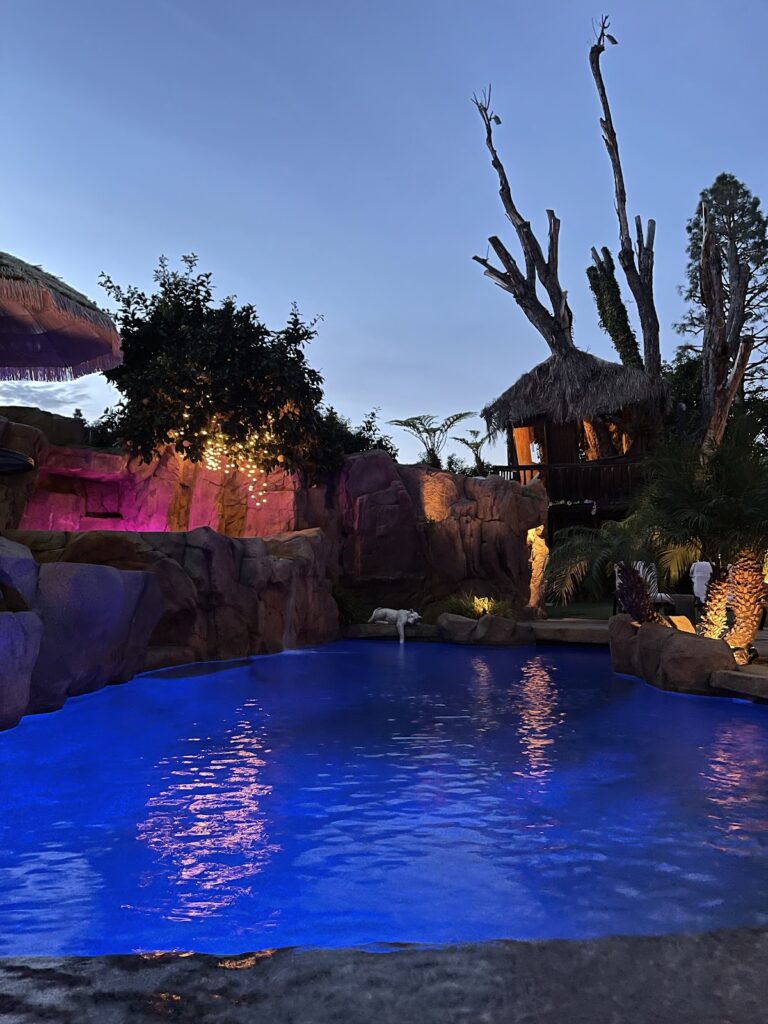 The Enchanted Manor: Your Dream Wedding Venue