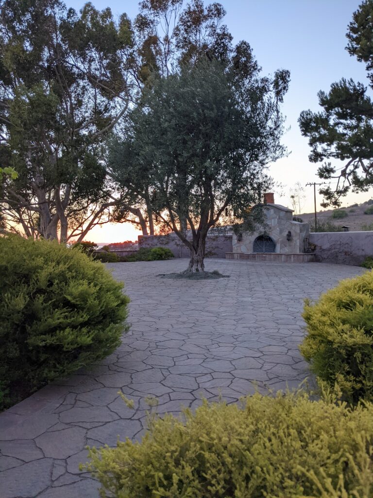 Catalina View Gardens Wedding Venue