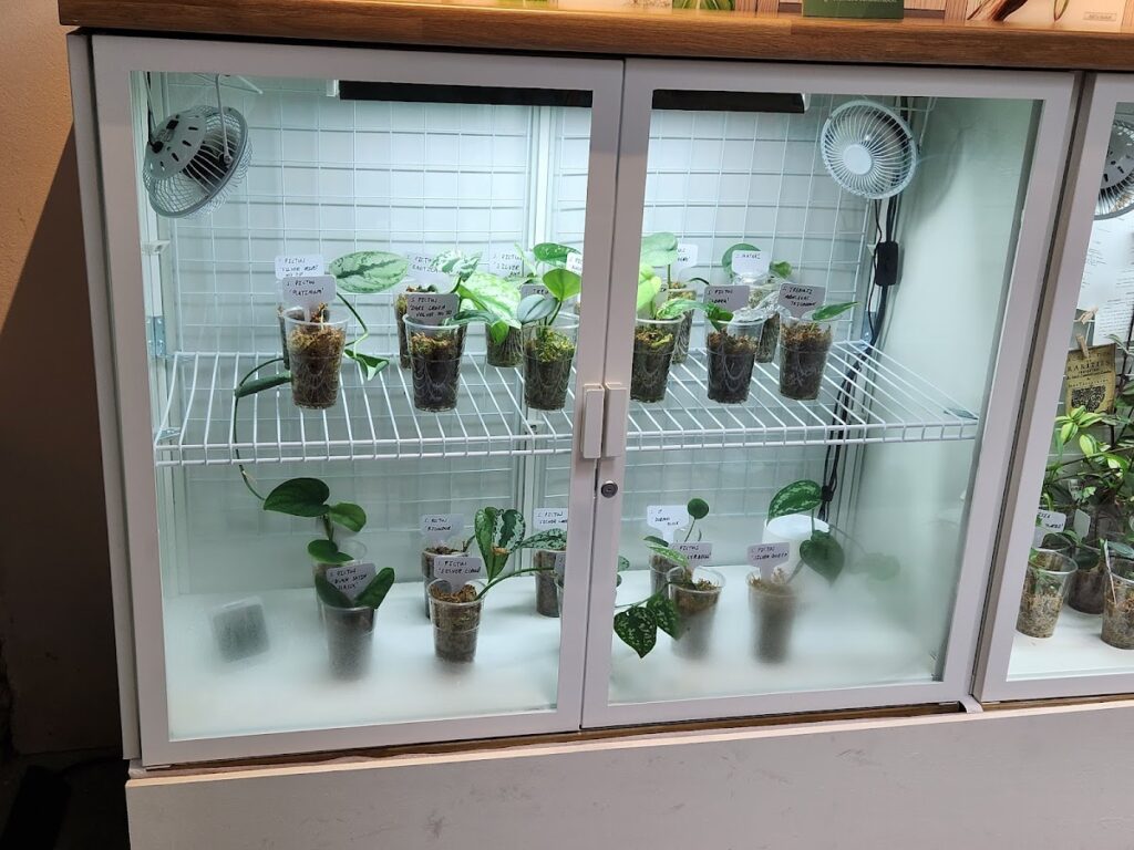 Garden Museum Wedding Venue Hire London