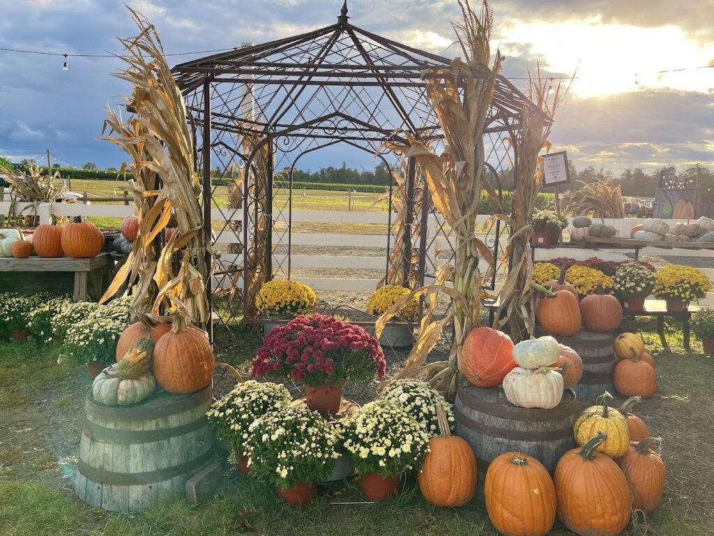 Johnson’s Locust Hall Farm Weddings