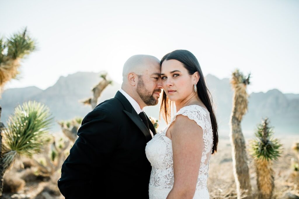 Cactus Collective Weddings: Las Vegas Wedding Venue