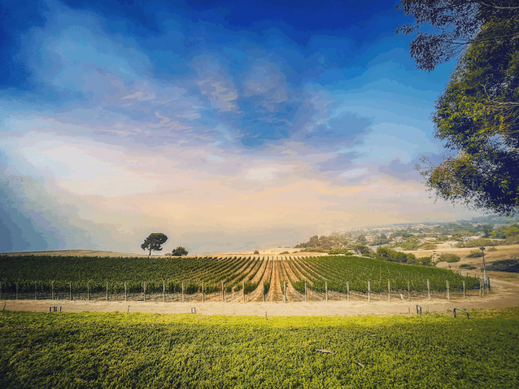 Catalina View Gardens Wedding Venue