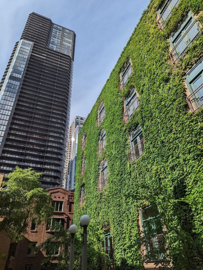 The Ivy Room At Tree Studios – Chicago Wedding Venue